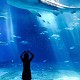 El acuario de génova y el viejo puerto